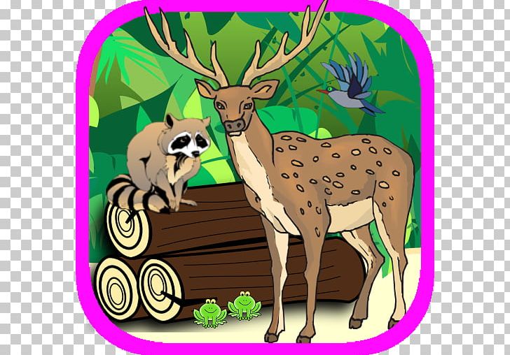 Reindeer Raccoon Antler PNG, Clipart, Antler, App, Art, Cartoon, Ceramic Free PNG Download