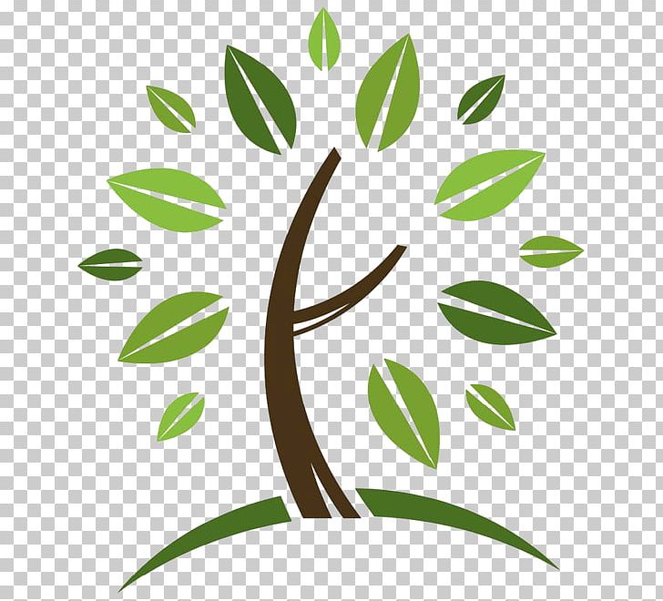 logo green leaf font plant png download - 540*540 - Free Transparent Logo  png Download. - CleanPNG / KissPNG