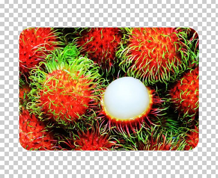 Tropical Fruit Rambutan Juice Pitaya PNG, Clipart, Apple, Food, Fruit, Fruit Nut, Guava Free PNG Download
