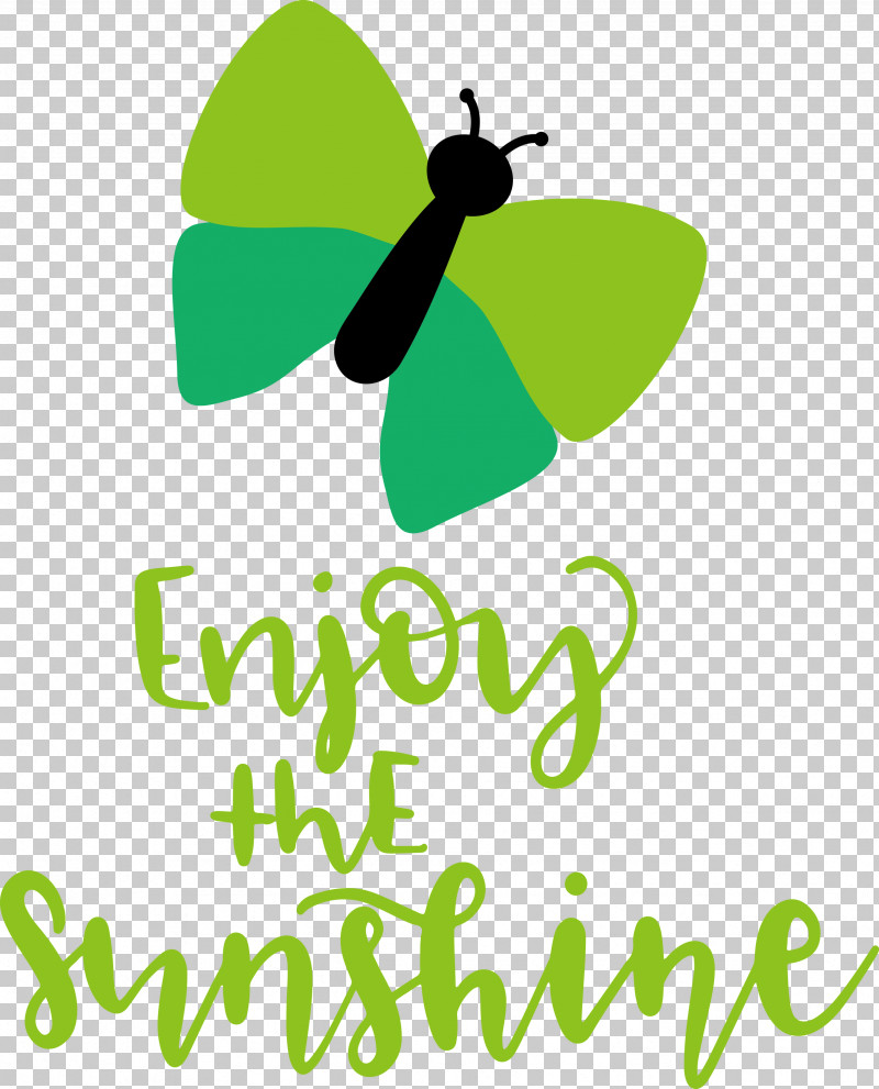 Sunshine Enjoy The Sunshine PNG, Clipart, Green, Insect, Leaf, Logo, Meter Free PNG Download