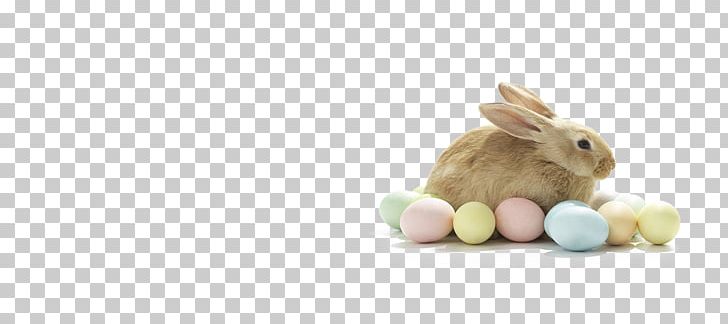 Domestic Rabbit Easter Bunny Hare Stuffed Animals & Cuddly Toys PNG, Clipart, Animals, Domestic Rabbit, Easter, Easter Bunny, Easter Saturday Free PNG Download