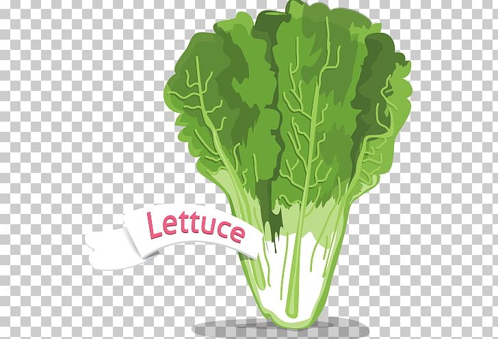 Spring Greens Celtuce Chard Romaine Lettuce Vegetable PNG, Clipart, Chinese Cabbage, Collard Greens, Come, Come Into The Bowl, Decoration Free PNG Download
