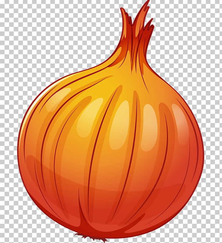 Food Orange Onion PNG, Clipart, Calabaza, Cartoon Onion, Cucurbita, Drawing, Flowering Plant Free PNG Download