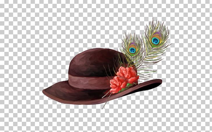 Feather Hat Bonnet Cap PNG, Clipart, Animals, Bonnet, Bowler Hat, Brown, Cap Free PNG Download