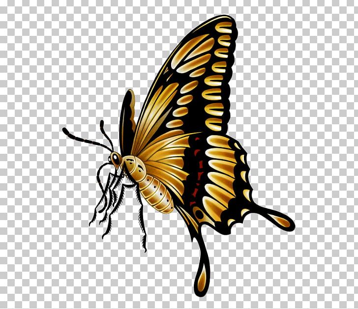 Monarch Butterfly Brush-footed Butterflies Pieridae A Summer’s Tale Insect PNG, Clipart, Animals, Art, Arthropod, Brush Footed Butterfly, Butterfly Free PNG Download