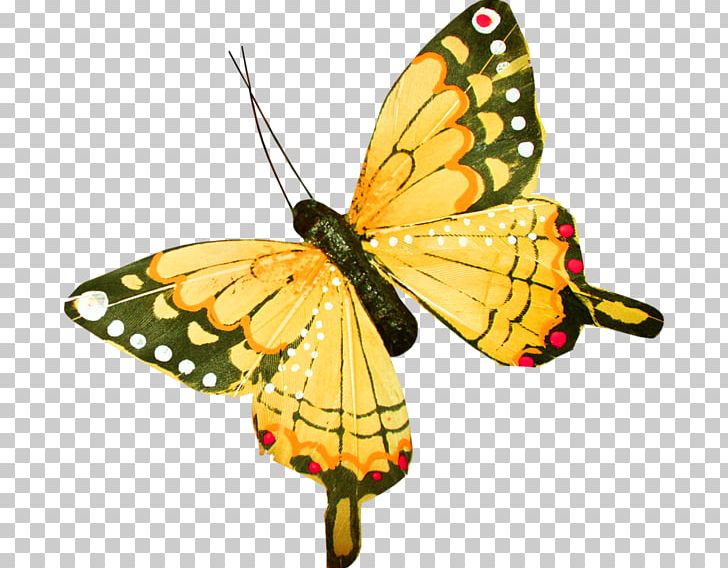 Monarch Butterfly Clouded Yellows Moth Brush-footed Butterflies PNG, Clipart, Arthropod, Brush Footed Butterfly, Butterflies And Moths, Butterfly, Colias Free PNG Download