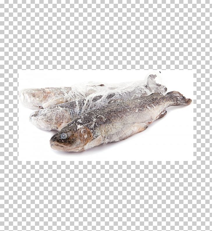Rainbow Trout Dried And Salted Cod Oily Fish Salmon PNG, Clipart, Animals, Animal Source Foods, Fish, Fish Products, Herring Free PNG Download