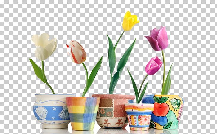 Canadian Tulip Festival Flower PNG, Clipart, Balcony, Botany, Canadian Tulip Festival, Colour, Floral Design Free PNG Download