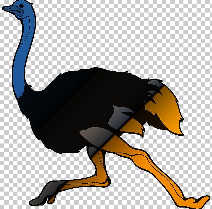 Flightless Bird Common Ostrich Goose Cygnini PNG, Clipart, Animal, Animals, Artwork, Beak, Bird Free PNG Download