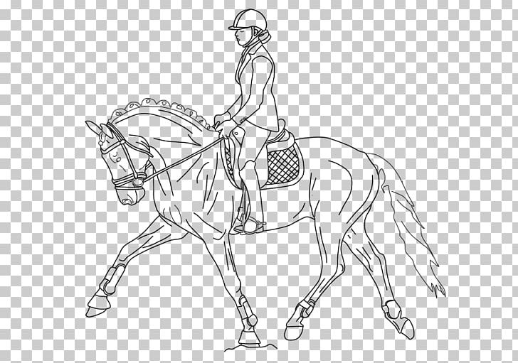 Dutch Warmblood Bridle Dressage Equestrian Coloring Book PNG, Clipart, Animal Figure, Arm, Artwork, Bit, Black And White Free PNG Download