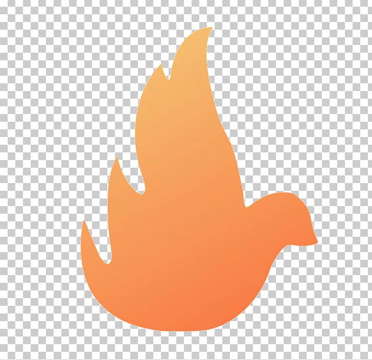 Pentecostalism Charismatic Movement Spiritual Gift Christian Revival PNG, Clipart, Beak, Bird, Charismatic Movement, Christian Revival, Computer Wallpaper Free PNG Download