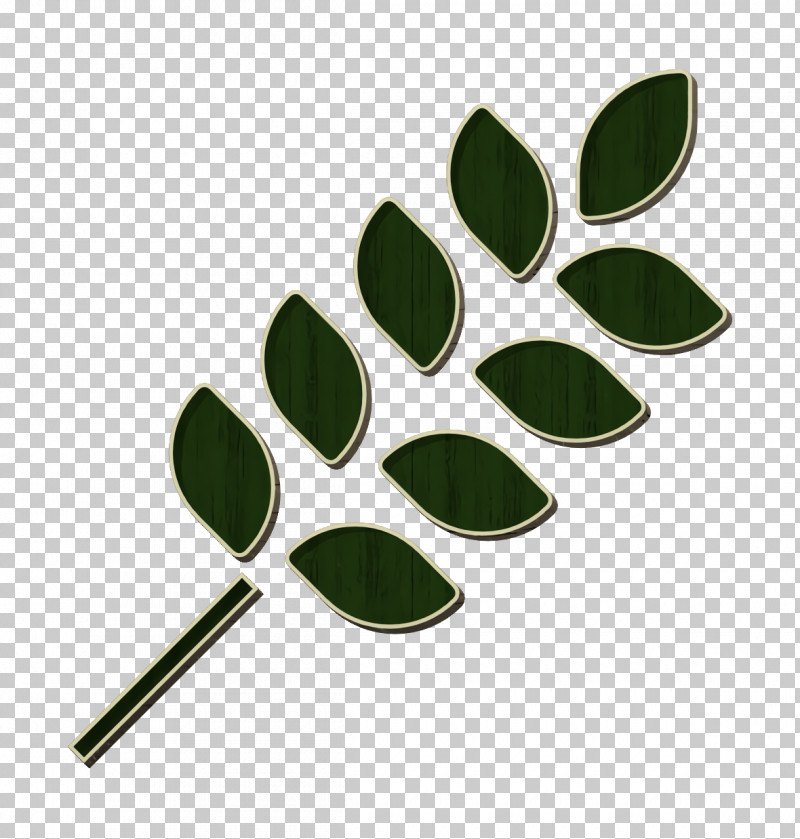 Leaf Icon Fruits And Vegetables Icon PNG, Clipart, Cabbage, Cuisine, Fruit, Fruits And Vegetables Icon, Fruit Vegetable Free PNG Download