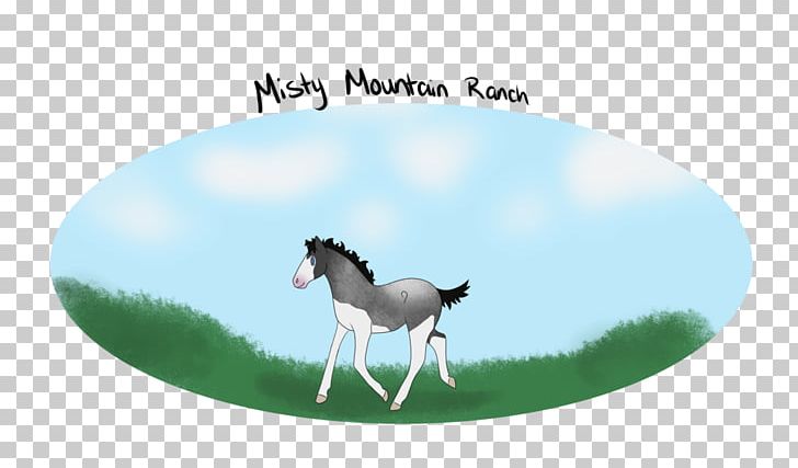 Mustang Pony Pack Animal Freikörperkultur Grassland PNG, Clipart, 2019 Ford Mustang, Animated Cartoon, Ford Mustang, Grass, Grassland Free PNG Download