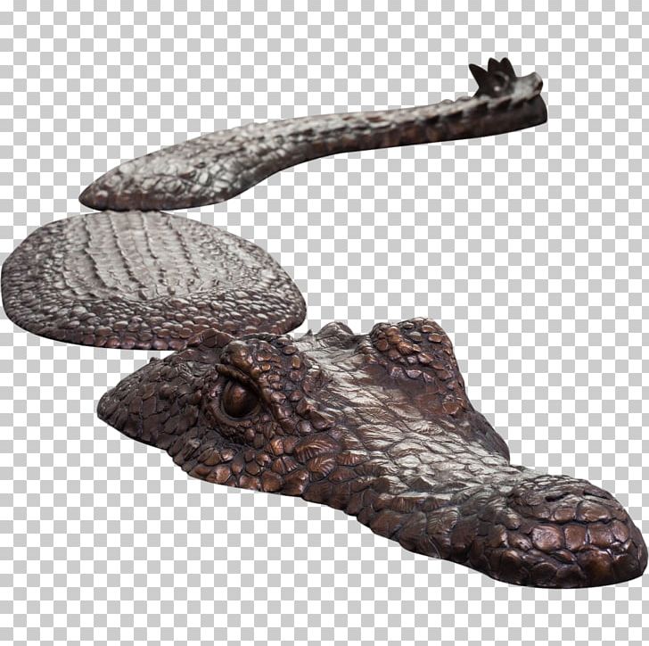Reptile Shoe Footwear PNG, Clipart, Animals, Crocodile, Footwear, Miscellaneous, Others Free PNG Download