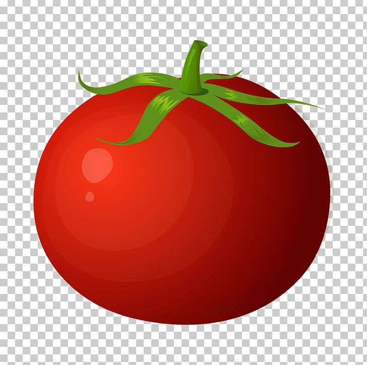 Tomato Vegetable Pomodoro Technique PNG, Clipart, Apple, Bright, Bright Light Effect, Brightness, Canned Tomato Free PNG Download