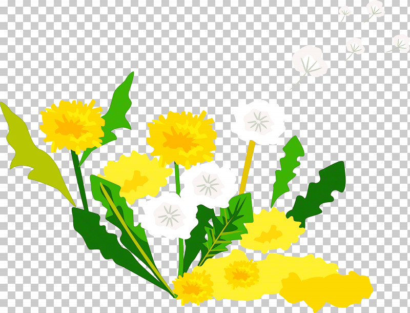 Dandelion PNG, Clipart, Cut Flowers, Daisy Family, Dandelion, English Marigold, Flower Free PNG Download