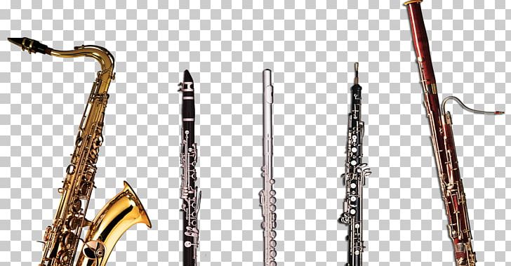 Cor Anglais Bassoon Bass Oboe Woodwind Instrument Musical Instruments PNG, Clipart, Bass Oboe, Bassoon, Clarinet, Clarinet Family, Cor Anglais Free PNG Download