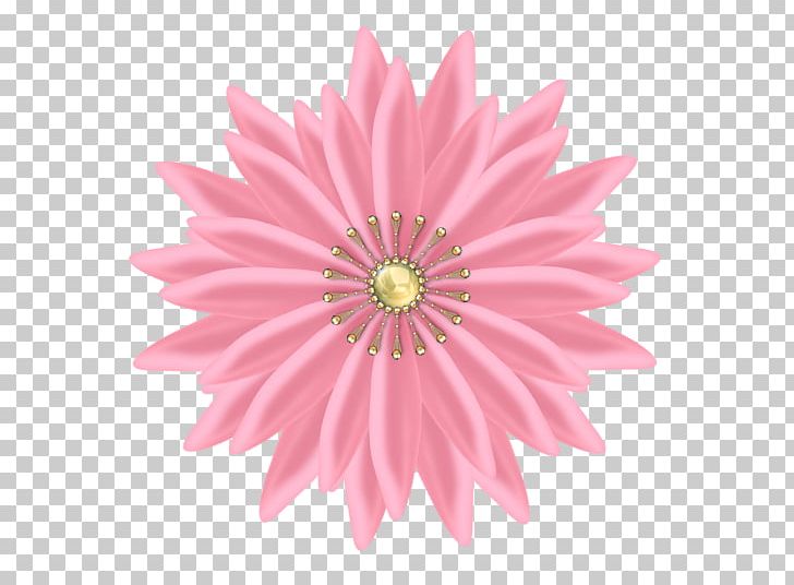 Empire Self Storage Retail Industry PNG, Clipart, Chrysanths, Cut Flowers, Daisy, Daisy Family, Empire Free PNG Download
