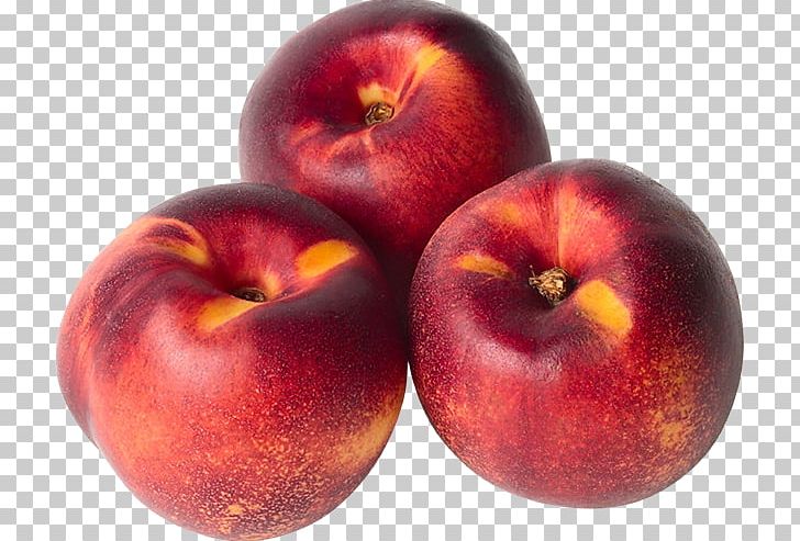 Nectarine Fruit Pluot Food Common Plum PNG, Clipart, Accessory Fruit, Apple, Auglis, Common Plum, Diet Free PNG Download