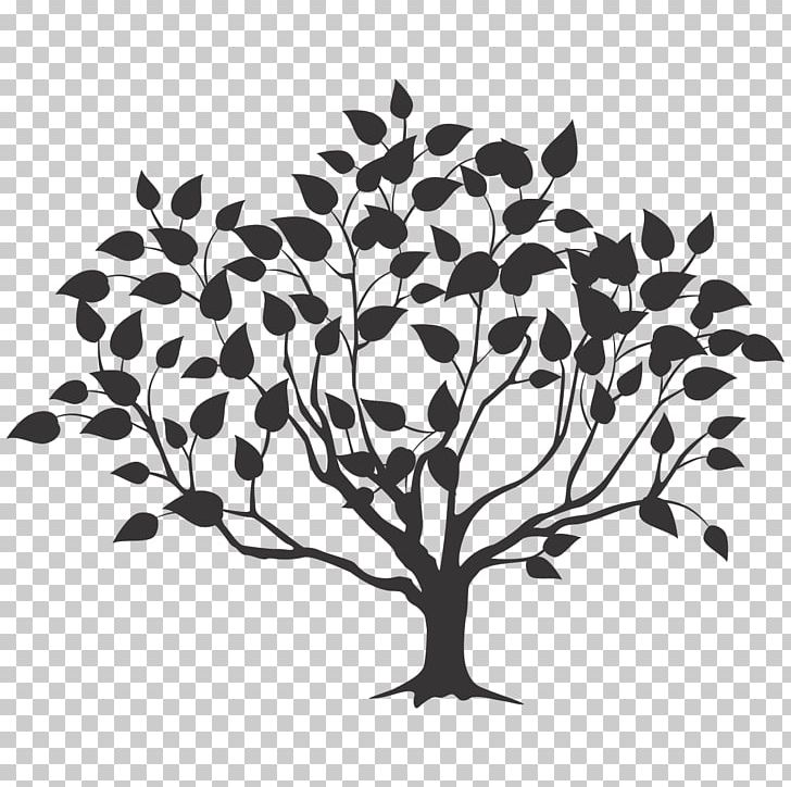 Root Tree Drawing PNG, Clipart, Art, Black And White, Branch, Crow, Drawing Free PNG Download