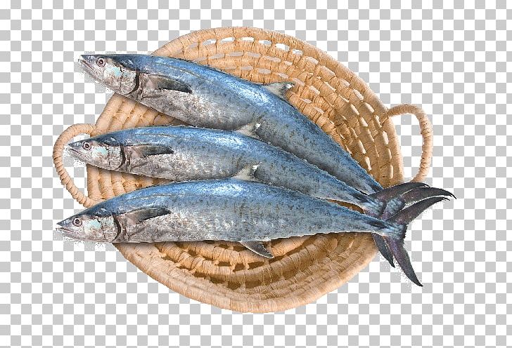 Saudi Arabia Narrow-barred Spanish Mackerel Fish SFC Food PNG, Clipart, Anchovy, Animals, Animal Source Foods, Bony Fish, Capelin Free PNG Download