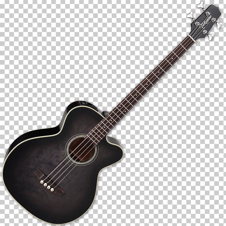 Twelve-string Guitar Acoustic-electric Guitar Acoustic Guitar Bass Guitar PNG, Clipart, Acoustic, Cutaway, Guitar Accessory, Musical Instrument, Plucked String Instruments Free PNG Download