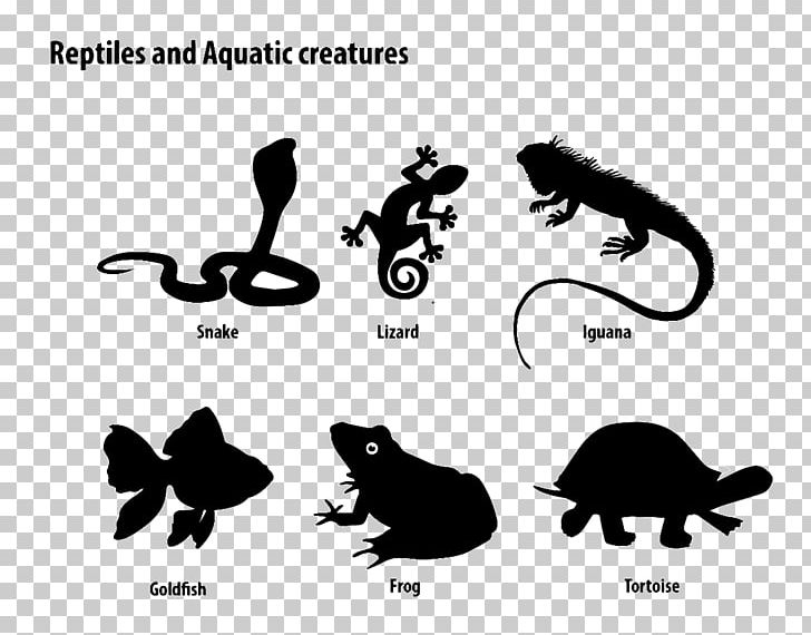 Cat Reptile Black Lizard Turtle PNG, Clipart, Animal, Animals, Black, Black And White, Black M Free PNG Download