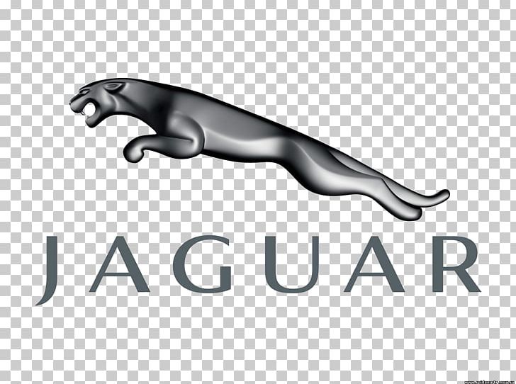 Jaguar Cars Sports Car Jaguar XK PNG, Clipart, Angle, Animals, Automotive Design, Black And White, Brand Free PNG Download