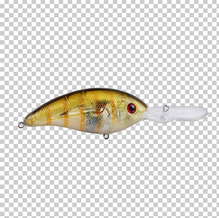Perch Spoon Lure Fish AC Power Plugs And Sockets PNG, Clipart, Ac Power Plugs And Sockets, Bait, Bony Fish, Bream, Fish Free PNG Download