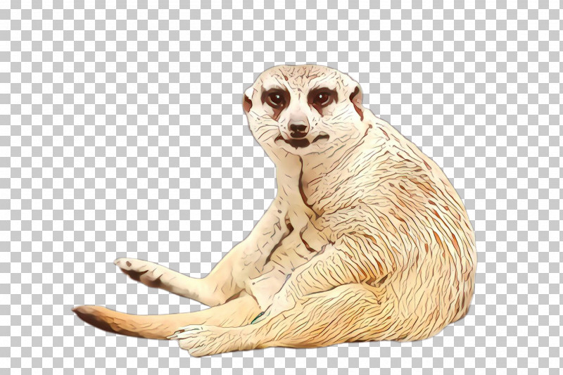 Meerkat Mongoose Wildlife PNG, Clipart, Meerkat, Mongoose, Wildlife Free PNG Download