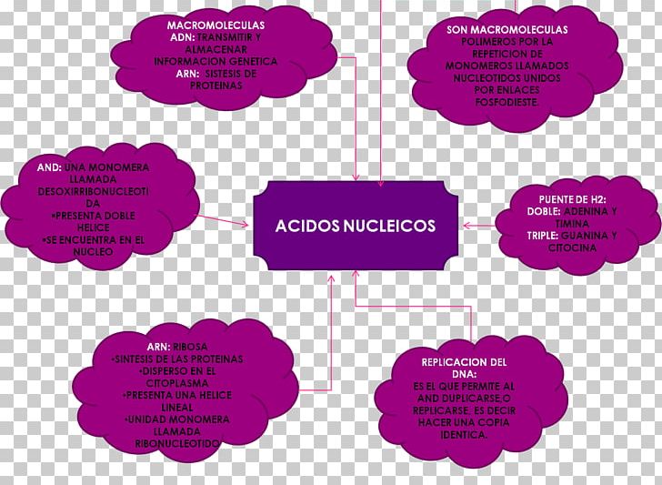 Bacteria Nucleic Acid Biochemistry Biology Virus PNG, Clipart, Area, Bacteria, Biochemistry, Biology, Brand Free PNG Download