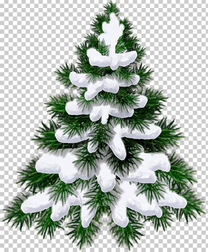 Child New Year Tree The Forest Raised A Christmas Tree Quotation PNG, Clipart, Ansichtkaart, Child, Christmas Decoration, Christmas Ornament, Christmas Tree Free PNG Download
