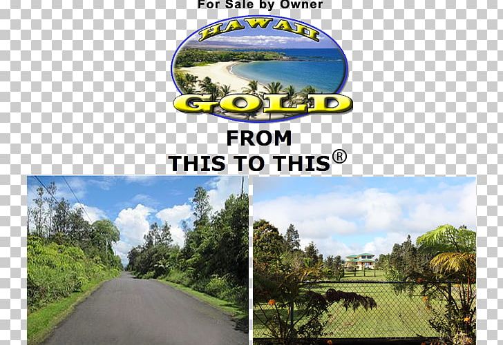 Hilo International Airport Land Lot Rural Land Sales Property Acre PNG, Clipart, Acre, Advertising, Airport, Beach, Brand Free PNG Download