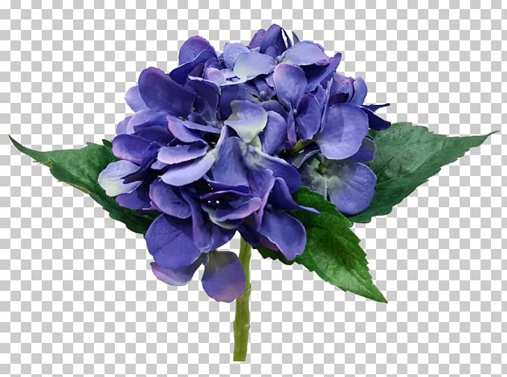 Hydrangea Cut Flowers Flower Bouquet Rose Family PNG, Clipart, Blue, Blue Hydrangea, Cornales, Cut Flowers, Family Free PNG Download