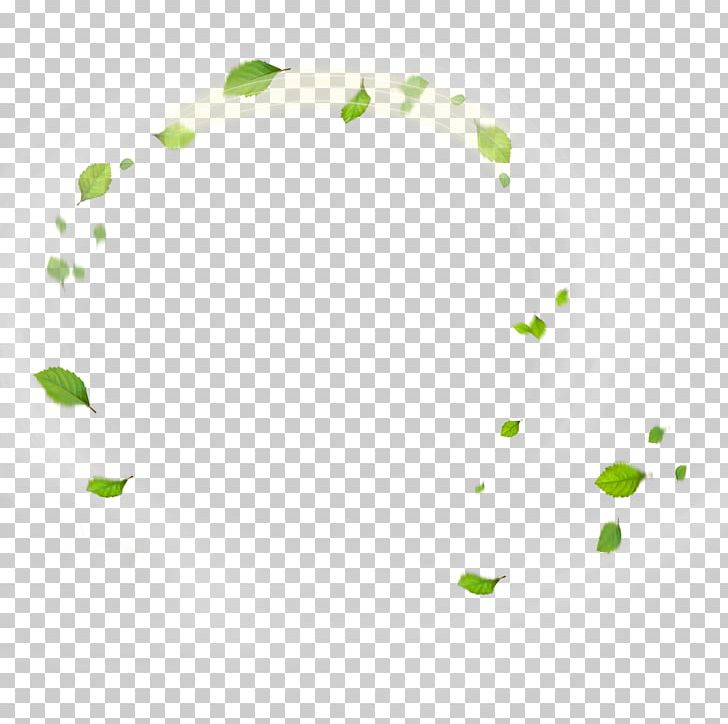 Leaf Green Designer PNG, Clipart, Angle, Annulus, Area, Background Green, Deciduous Free PNG Download
