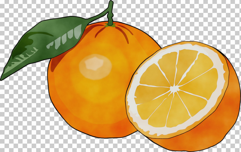 Orange PNG, Clipart, Bitter Orange, Blood Orange, Citric Acid, Citron, Grapefruit Free PNG Download