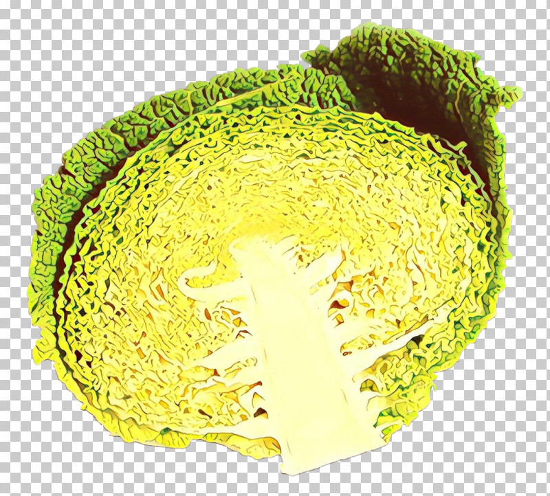 Yellow Cabbage Plant PNG, Clipart, Cabbage, Plant, Yellow Free PNG Download