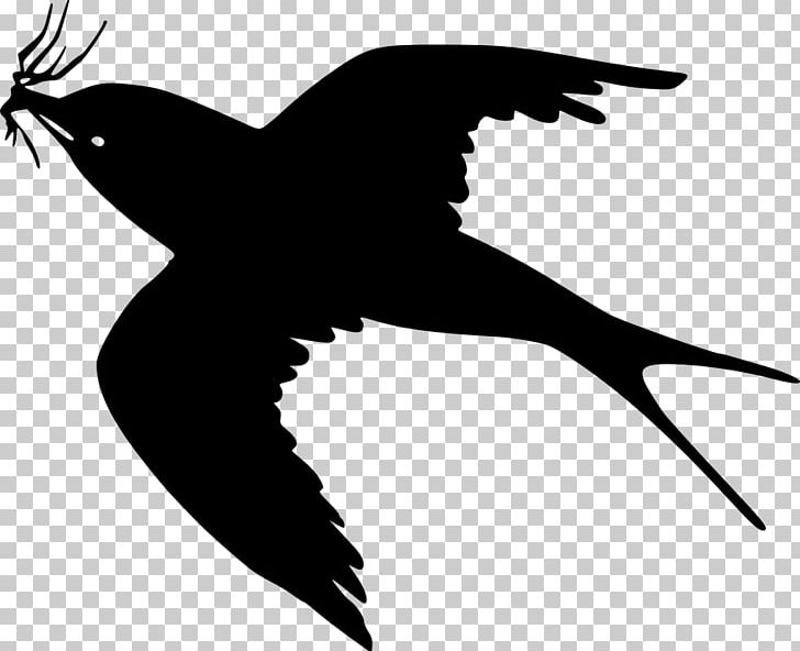 Bird Flight Cartoon PNG, Clipart, Beak, Bird, Bird Flight, Black And White, Blackbird Free PNG Download