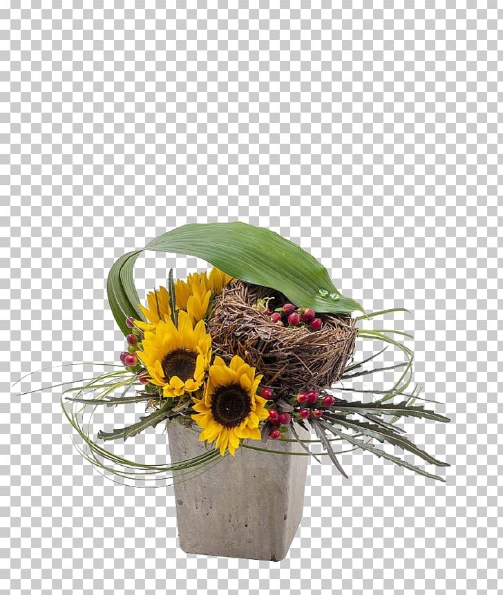 Common Sunflower Ornament Leaf PNG, Clipart, Bamboe, Bamboo, Bamboo Leaves, Common Sunflower, Cut Flowers Free PNG Download