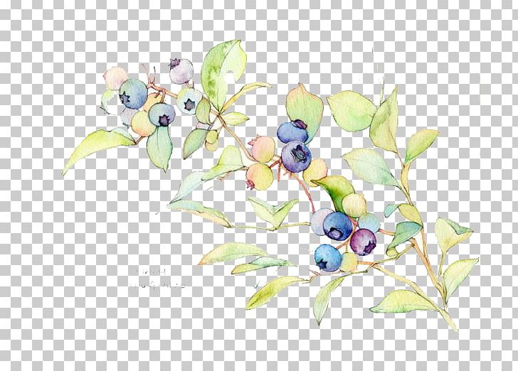 Watercolor Painting Blueberry Illustration PNG, Clipart, Art, Bilberry, Branch, Cartoon, Computer Wallpaper Free PNG Download