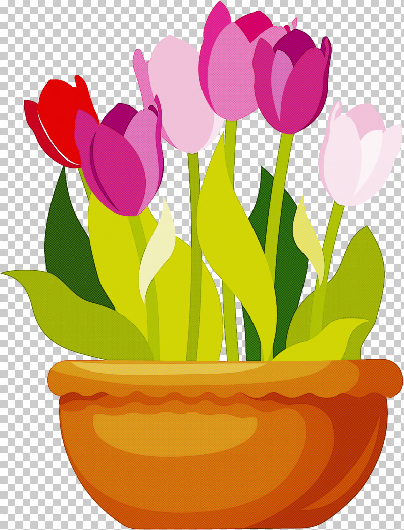 Tulip Flower Plant Petal Cut Flowers PNG, Clipart, Cut Flowers, Flower, Flowerpot, Lily Family, Magenta Free PNG Download