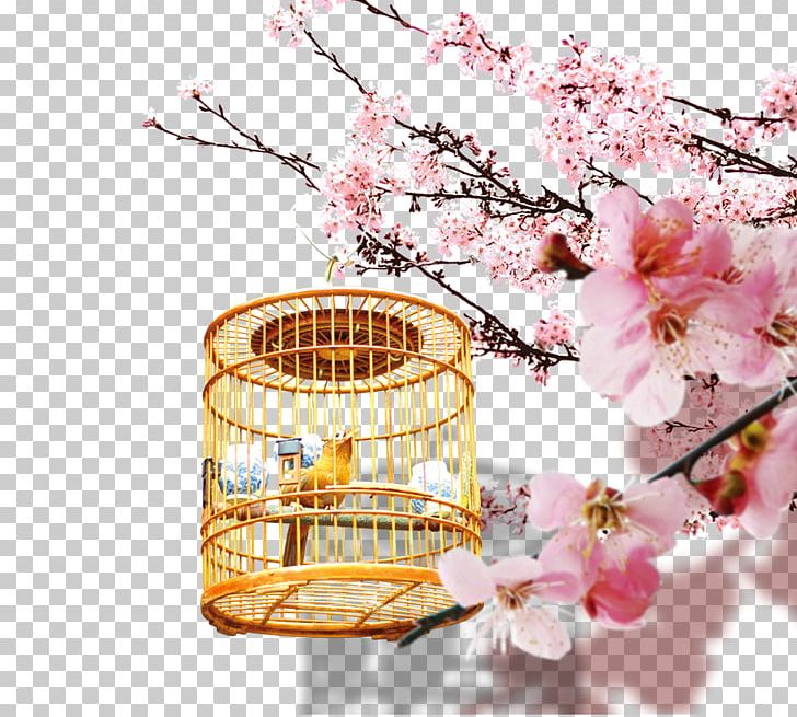 Bird Cherry Blossom Computer File PNG, Clipart, Adobe Illustrator, Bird, Birdcage, Blossom, Blossoms Free PNG Download