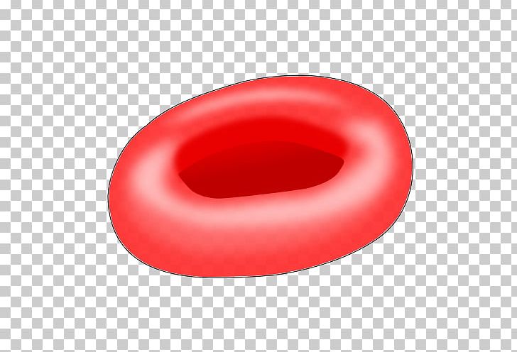 Red Blood Cell Hemoglobin Cell Nucleus PNG, Clipart, Blood, Blood Cell, Cell, Cell Cycle, Cell Nucleus Free PNG Download