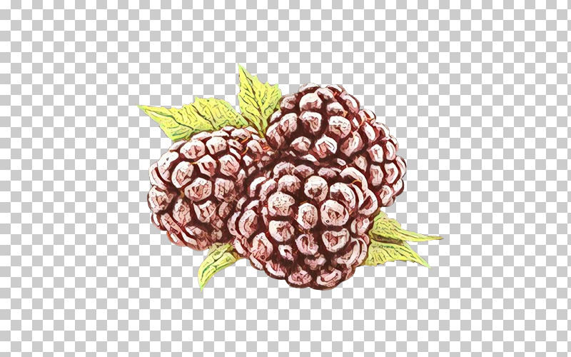 Pineapple PNG, Clipart, Berry, Blackberry, Food, Fruit, Loganberry Free PNG Download