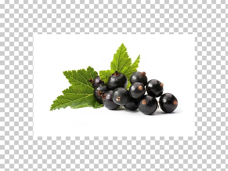 Blackcurrant Redcurrant Berry Flavor Stock Photography PNG, Clipart, 101, Aroma, Berry, Bilberry, Blackberry Free PNG Download