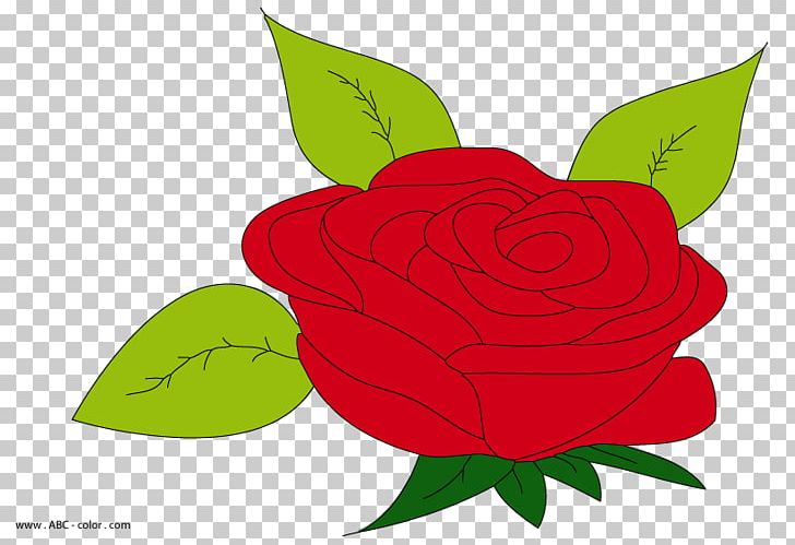 Garden Roses Drawing PNG, Clipart, Digital Image, Flora, Flower, Flowering Plant, Garden Free PNG Download