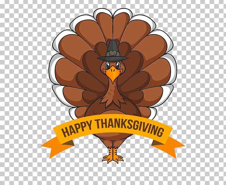 Thanksgiving Turkey Meat PNG, Clipart, Beak, Bird, Bird Of Prey, Brand, Clip Art Free PNG Download