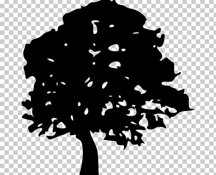 Tree Oak Silhouette PNG, Clipart, Black, Black And White, Drawing, Euclidean Vector, Flower Free PNG Download