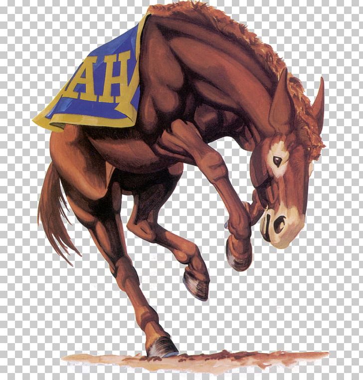 Alamo Heights High School Alamo Heights Junior High School Class National Secondary School PNG, Clipart, Alamo Heights, Alamo Heights High School, Class, Horse, Horse Supplies Free PNG Download