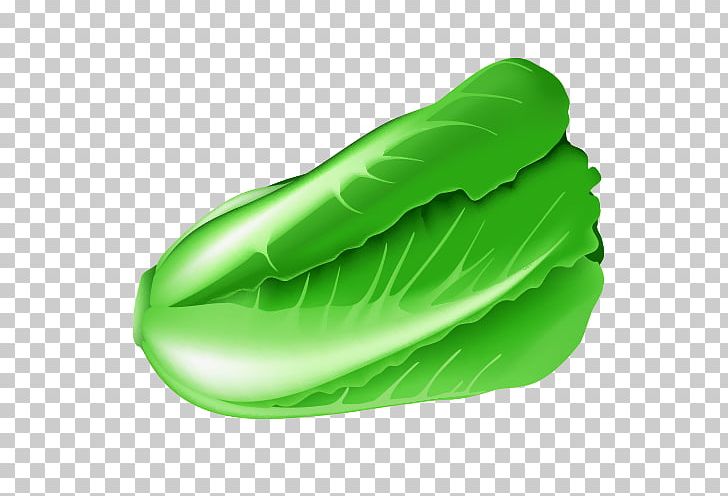 Cabbage Vegetable PNG, Clipart, Balloon Cartoon, Banana Leaf, Cabbage Vector, Cartoon Arms, Cartoon Character Free PNG Download